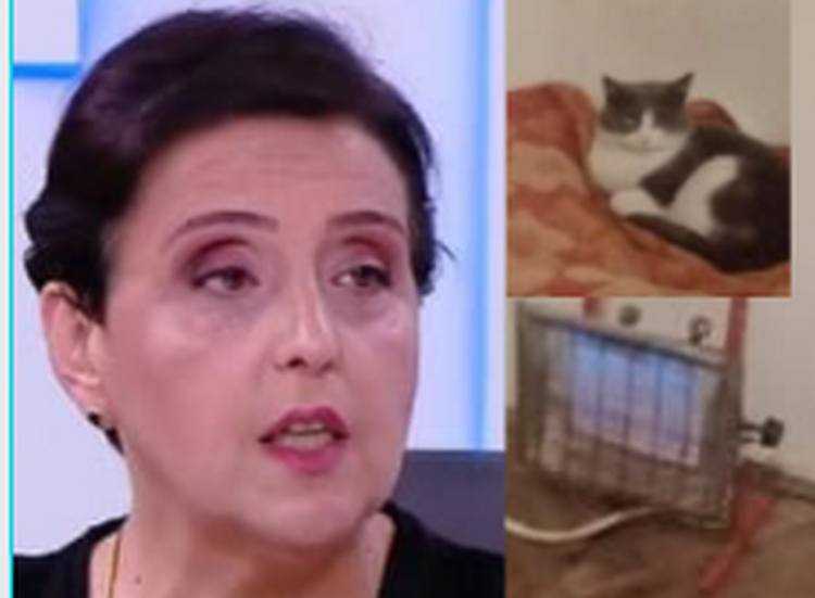 ელისო კილაძე: ,,ის ბიჭი არც პოლიტიკოსებს მოუკითხავთ, არც იურისტებს, უკიდურესად უჭირთ!"