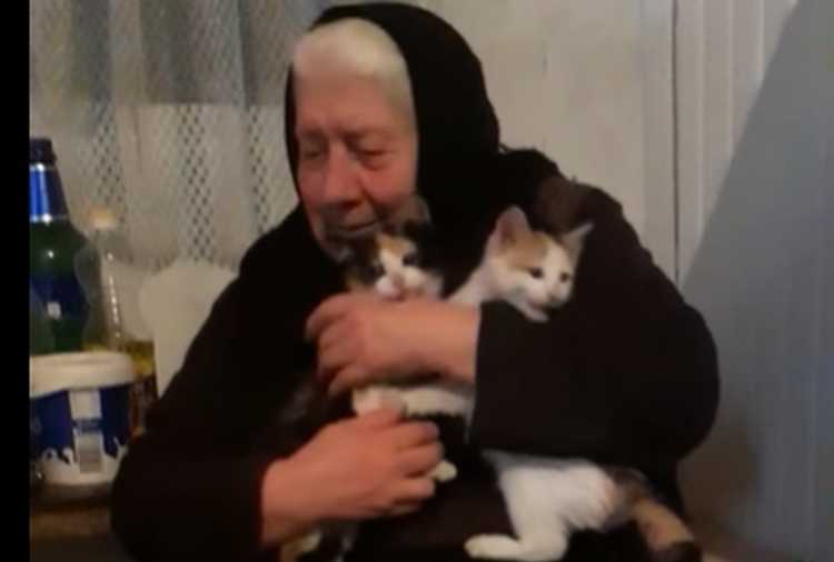 ,,ამგენის დარდი მკლავს, რა ვაჭამო, არ ვიცი" - მარტოხელა ბებო ფისოებისთვის საჭმელს ითხოვს