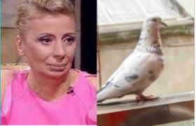 ნატო დუმბაძე: ,,დამთხვევას ვეღარ დავარქმევ, მართლა არ ვიცი"