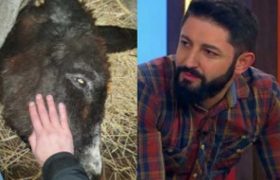 გიორგი სუხიტაშვილს ვასია ავად გაუხდა - ,,ძალიან მინდა, გადარჩეს"