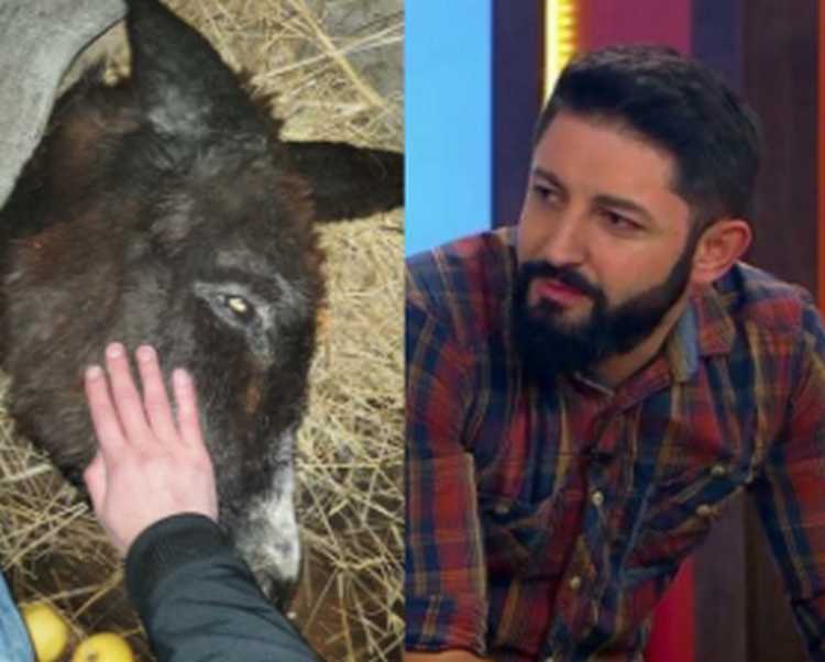 გიორგი სუხიტაშვილს ვასია ავად გაუხდა - ,,ძალიან მინდა, გადარჩეს"