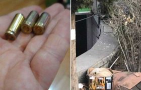 ,,ეს ტყვიები ვნახე, სავარაუდოდ მიზანმიმართულად ისროდნენ"