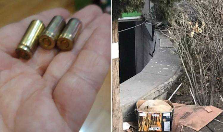 ,,ეს ტყვიები ვნახე, სავარაუდოდ მიზანმიმართულად ისროდნენ"