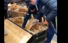 უკრაინელები არ ნებდებიან, კიევში მამაკაცებს იარაღს ურიგებენ უკრაინელები არ ნებდებიან, კიევში მამაკაცებს იარაღს ურიგებენ