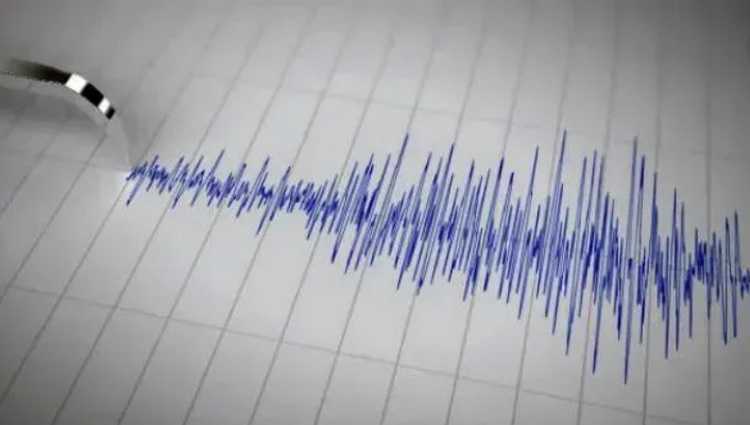 ძლიერი მიწისძვრა დმანისში - ,,სახლის კარი გაიჭედა, ვერ ვაღებდით, აქეთ-იქით ვეხეთქებოდით"