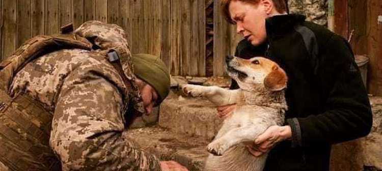 ომში დაჭრილ ცუგას ეხმარებიან - ,,მეტირება, ასეთი მაგარი ხალხის მნახველი არ ვარ"