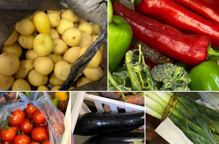 ნავთლუღის ფასები: ბადრიჯანი 7 ლარი, ახალი კარტოფილი 12 ლარი, პრასი - 7 ლარი... - ,,კიდევ უნდა ვითმინოთ ეს?!"