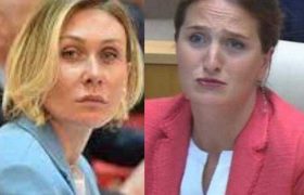 ნინო წილოსანი: ,,ორსული დეპუტატის მიმართ ზიზღის კამპანია და რისთვის?"