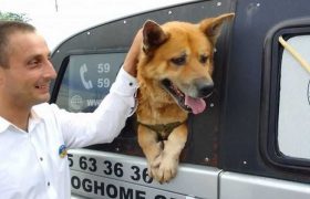 ,,რიჟა თავისუფალია!" - დღეს მოსამართლემ ძაღლს სასიკვდილო განაჩენი გაუუქმა