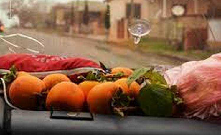 ,,ქმრის ოჯახში ჰგონიათ, რადგან სოფელში დავიბადე, მონასავით უნდა მომექცნენ" ,,ქმრის ოჯახში ჰგონიათ, რადგან სოფელში დავიბადე, მონასავით უნდა მომექცნენ"