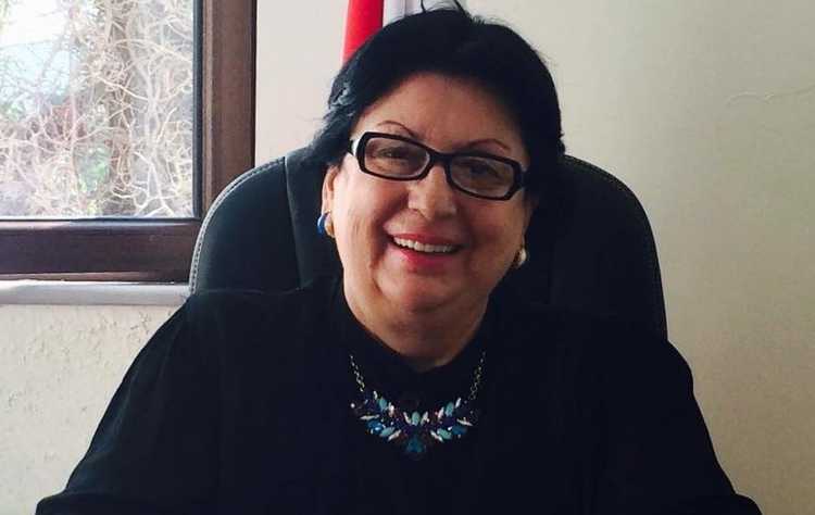 მედეა ვასაძემ ინფარქტი მიიღო - ,,იმედია, არ გაჩერდება, ვიცი, უსაშველოდ დავღალე, მაგრამ მაპატიებს"