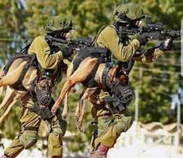 ,,მინდა, ისრაელს გვერდზე დავუდგე ამ ომში, დავიცვა, აქ ჩემი ოჯახია, ჩემი ქართველები" - რას წერენ ისრაელში მცხოვრები ქართველები