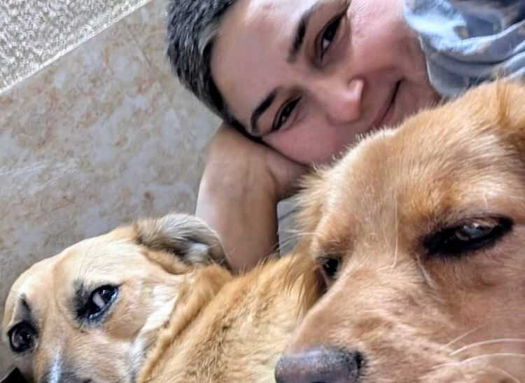 მიუსაფარი ცუგების იმედი ავარიას ემსხვერპლა